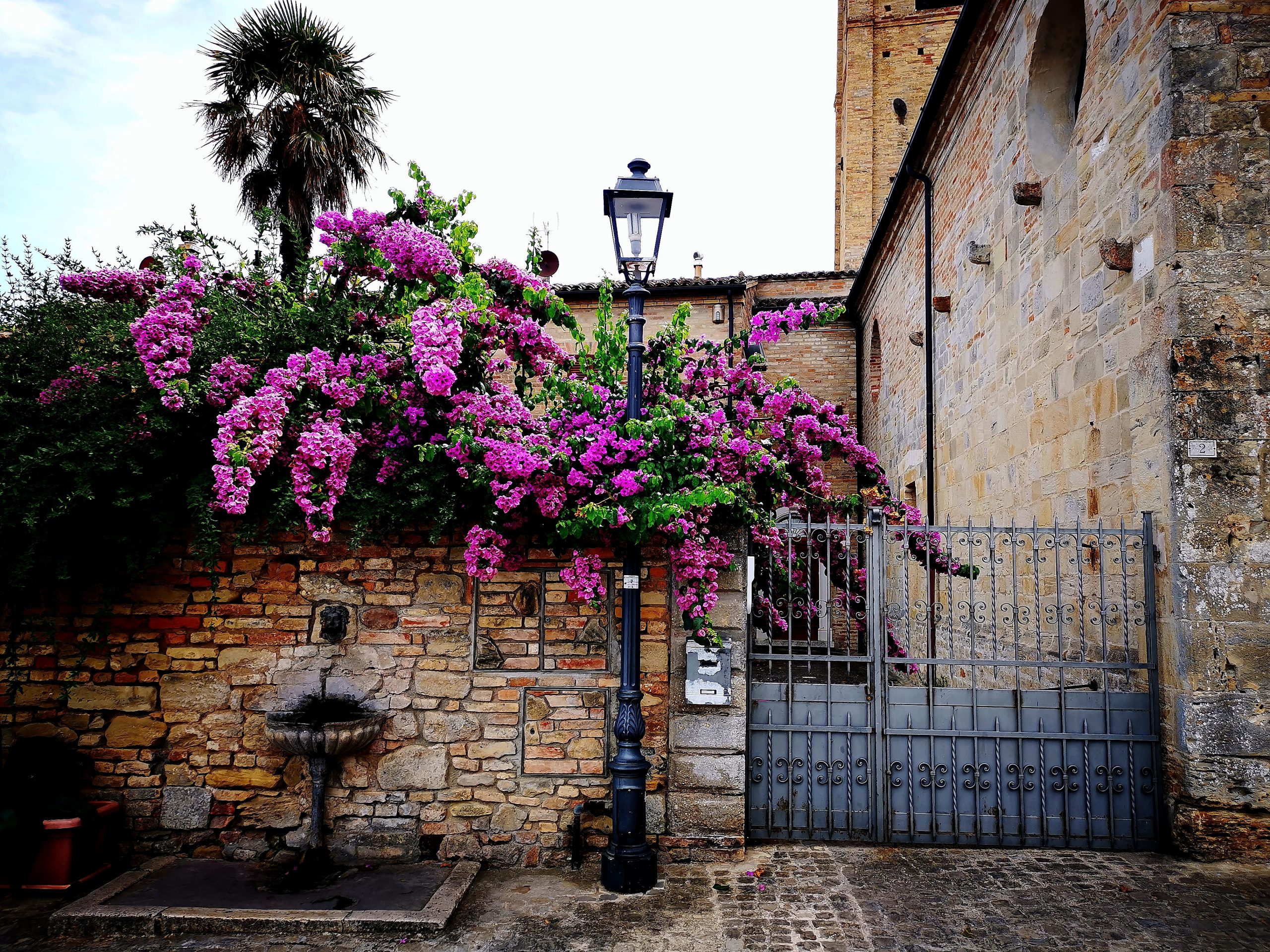 lemarche-torredelpalme2