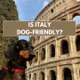 Is Italy Dog Friendly?